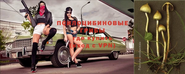 ПСИЛОЦИБИНОВЫЕ ГРИБЫ Балахна